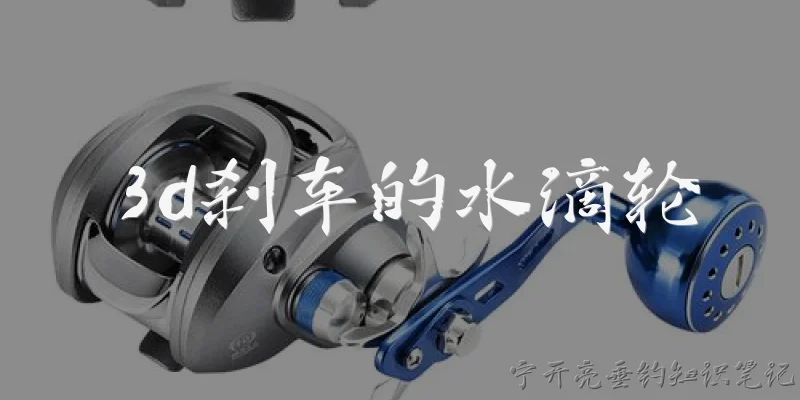 3d刹车的水滴轮:3D刹车的水滴轮是什么？