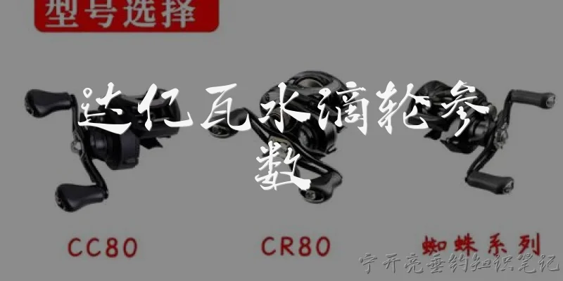 达亿瓦水滴轮参数:达亿瓦水滴轮有哪些常见型号和参数？