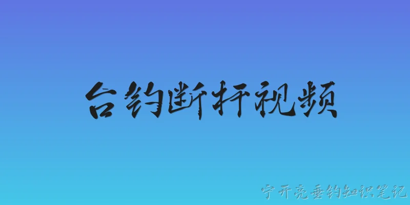 台钓断杆视频