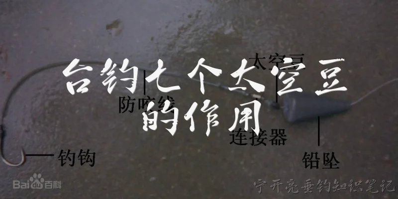 台钓七个太空豆的作用:台钓线组中七个太空豆分别有什么作用？