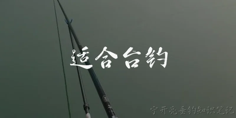 适合台钓:什么样的鱼竿适合台钓？