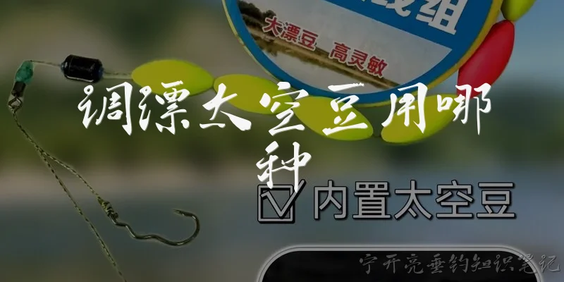 调漂太空豆用哪种:调漂时太空豆应该选择哪种材质？
