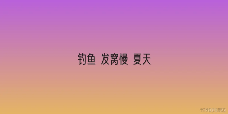 钓鱼 发窝慢 夏天