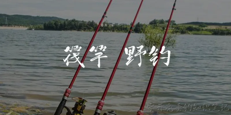 筏竿 野钓