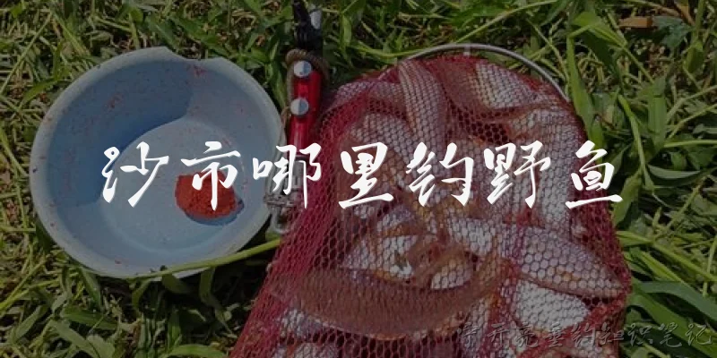 Where to catch wild fish in Shashi