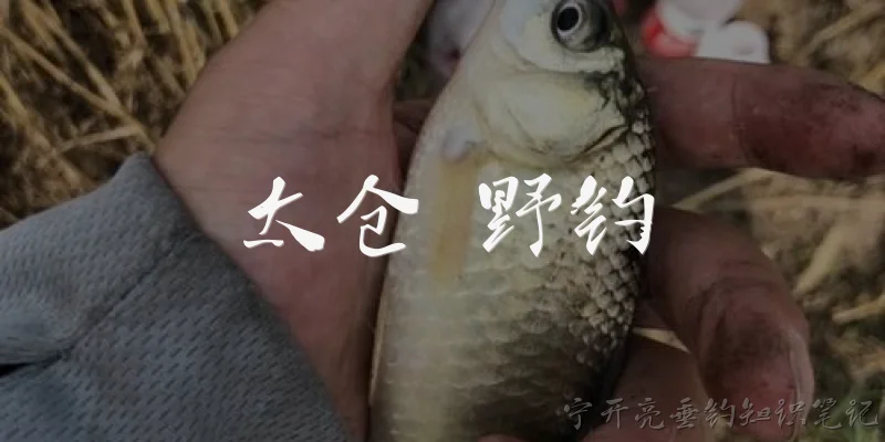太仓 野钓:太仓有哪些适合野钓的自然水域？ - 2026最新野钓问答知识盘点大全