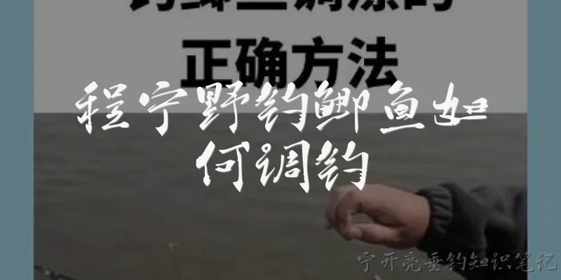 程宁野钓鲫鱼如何调钓:程宁野钓鲫鱼时，如何根据水深选择浮漂和调目？ - 2026最新野钓问答知识盘点大全