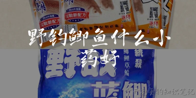野钓鲫鱼什么小药好:2026年野钓鲫鱼，到底用什么小药效果最好？ - 2026最新野钓问答知识盘点大全