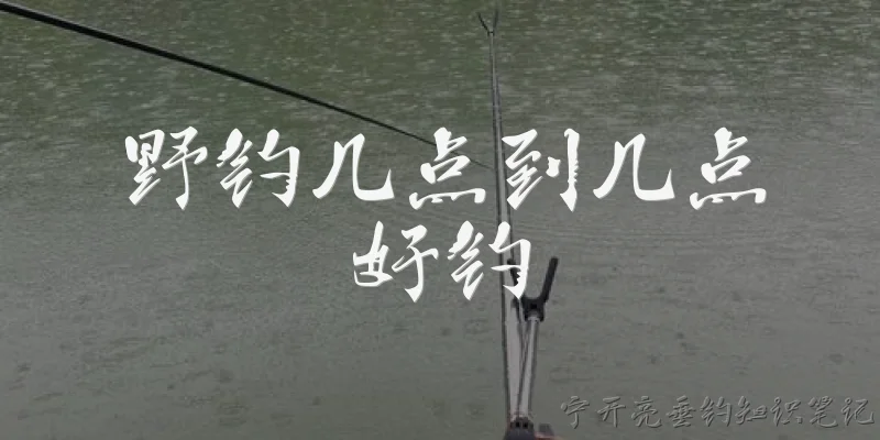 野钓几点到几点好钓:野钓几点到几点好钓？