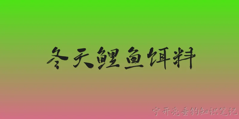 冬天鲤鱼饵料
