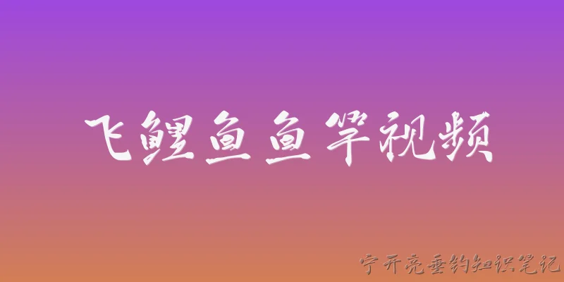 飞鲤鱼鱼竿视频