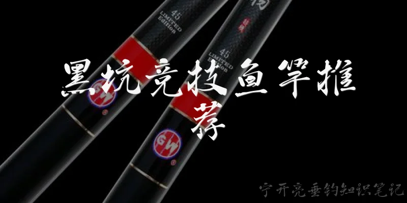 黑坑竞技鱼竿推荐
