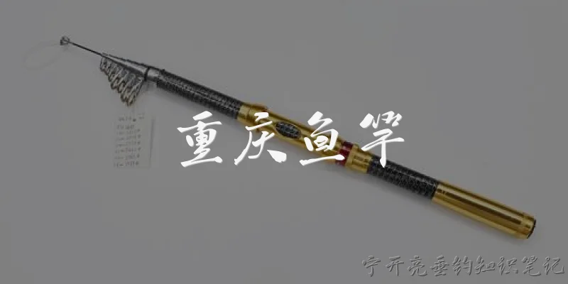 重庆鱼竿:重庆对鱼竿在禁渔期使用有哪些规定？ - 2026最新鱼竿问答知识盘点大全