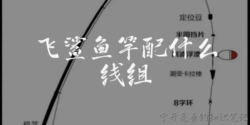 飞鲨鱼竿配什么线组:飞鲨鱼竿配什么线组比较合适？