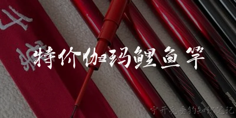 特价伽玛鲤鱼竿:特价伽玛鲤鱼竿是什么品牌的鱼竿？