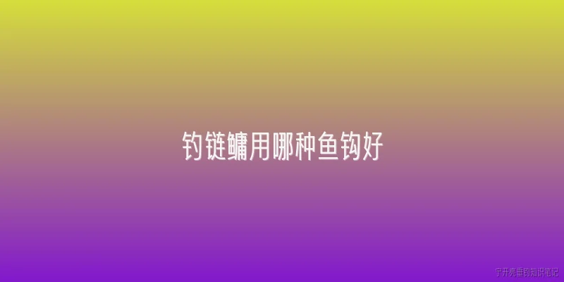 钓链鳙用哪种鱼钩好
