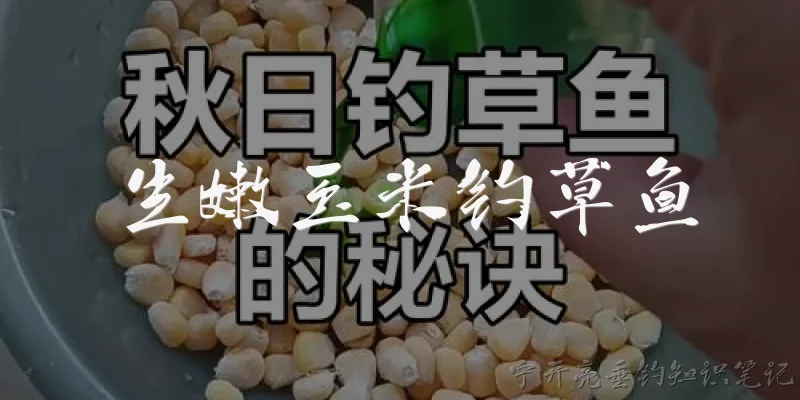 生嫩玉米钓草鱼:生嫩玉米钓草鱼的效果如何？