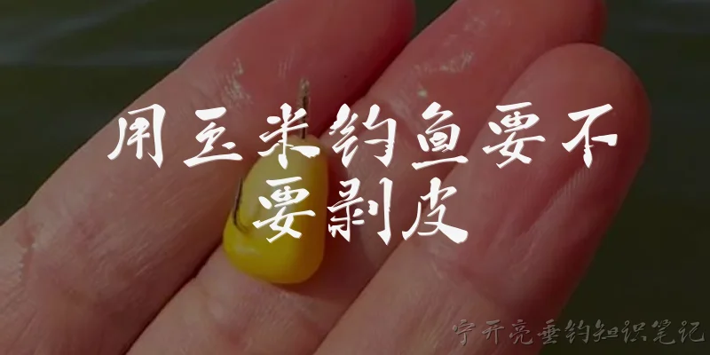 用玉米钓鱼要不要剥皮:用玉米钓鱼要不要剥皮?