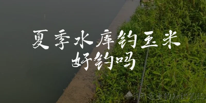 夏季水库钓玉米好钓吗:夏季水库用玉米钓鱼效果好吗？