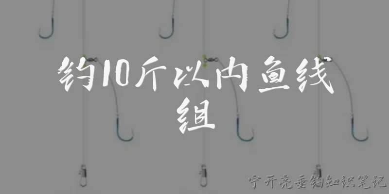 钓10斤以内鱼线组:2026年钓10斤以内的鱼，线组应该怎么搭配才最合理？ - 2026最新鱼线问答知识盘点大全