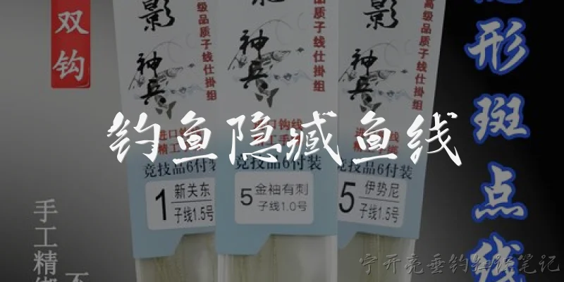 钓鱼隐臧鱼线:什么是钓鱼隐藏鱼线？